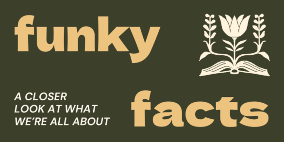 All About Hot Yoga with Funky Buddha Yoga